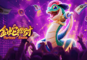 庄闲游戏平台app入口2024最新版